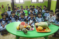 Fruit Day 2015