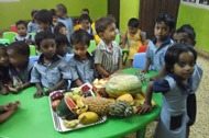 Fruit Day 2015